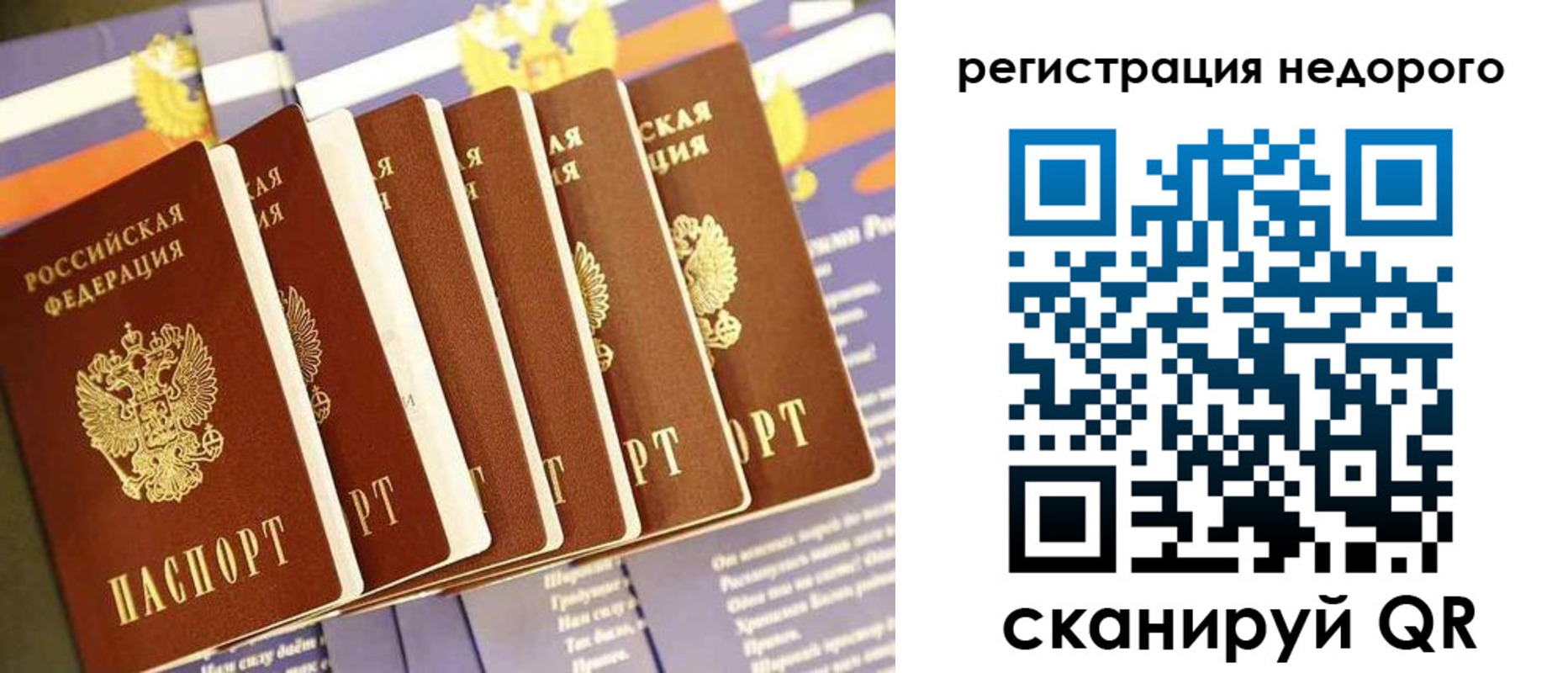 прописка в квартире в Долгопрудном